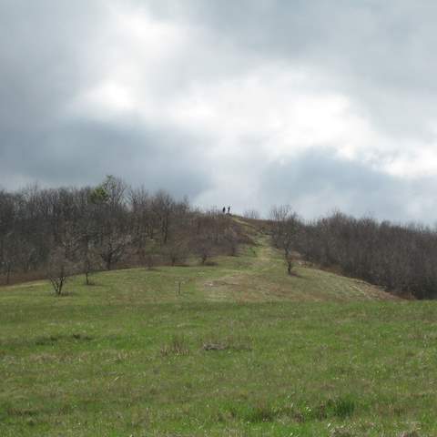 March 2012 Cole Mountain - Amherst County