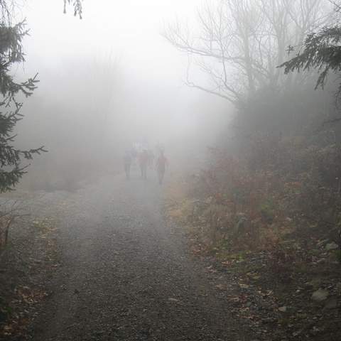 October 2012 Black Oak - Craigsville, VA