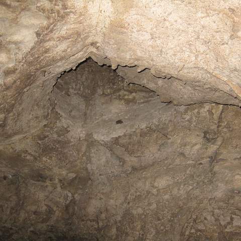 January 2012 Caving Trip - Organ Cave, WV