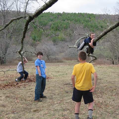 March 2012 Cole Mountain - Amherst County