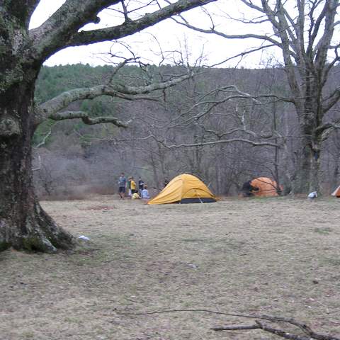 March 2012 Cole Mountain - Amherst County