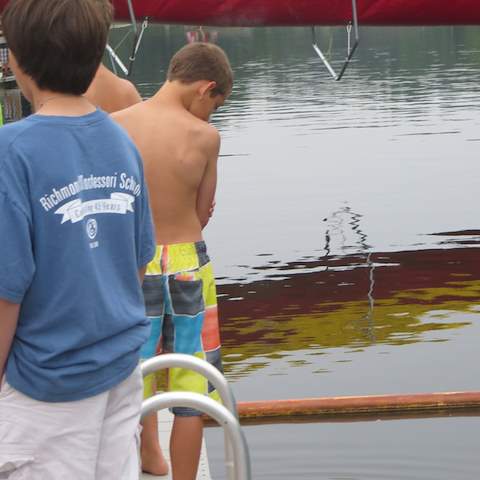 Troop 418 Richmond, VA