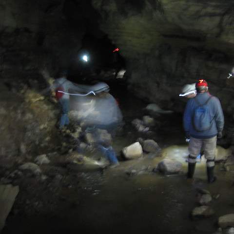 January 2012 Caving Trip - Organ Cave, WV