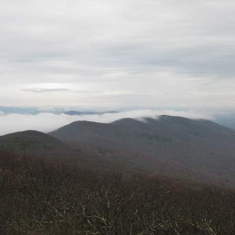 October 2012 Black Oak - Craigsville, VA