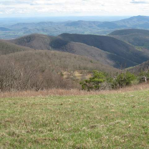 March 2012 Cole Mountain - Amherst County