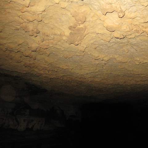 January 2012 Caving Trip - Organ Cave, WV