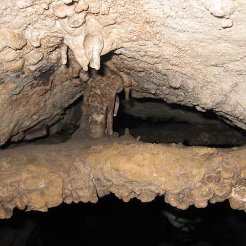 January 2012 Caving Trip - Organ Cave, WV