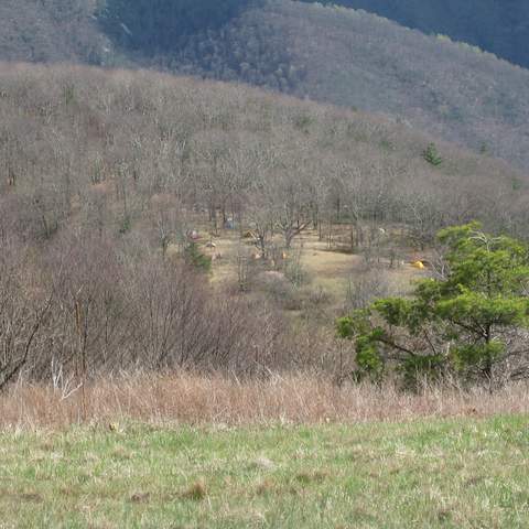March 2012 Cole Mountain - Amherst County