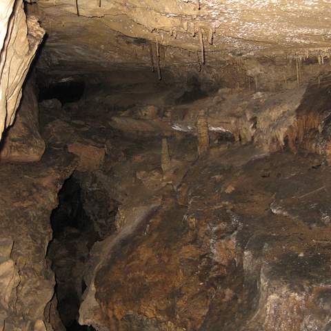 January 2012 Caving Trip - Organ Cave, WV