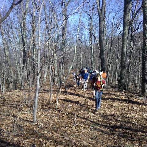 Troop 418 Richmond, VA