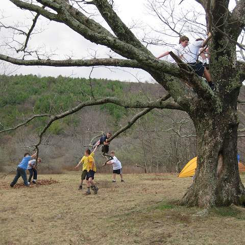 March 2012 Cole Mountain - Amherst County