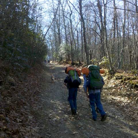 Troop 418 Richmond, VA