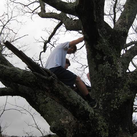 March 2012 Cole Mountain - Amherst County