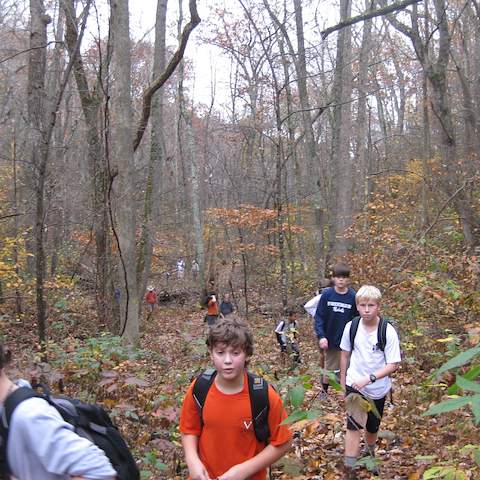 October 2012 Black Oak - Craigsville, VA